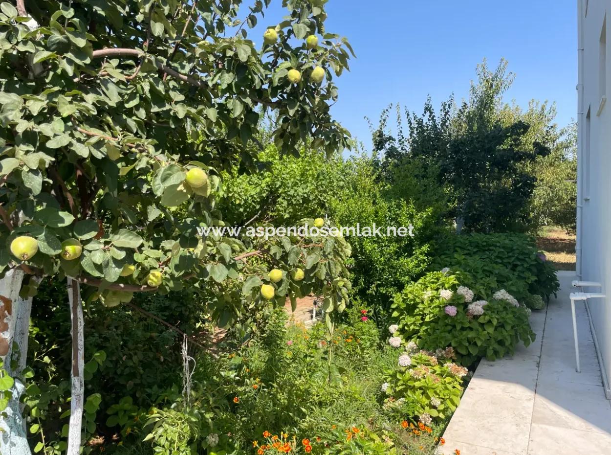 Muğla Ula Köprübaşı Mahallesin In 2378M2 Land In 3 1 Vlla For Sale