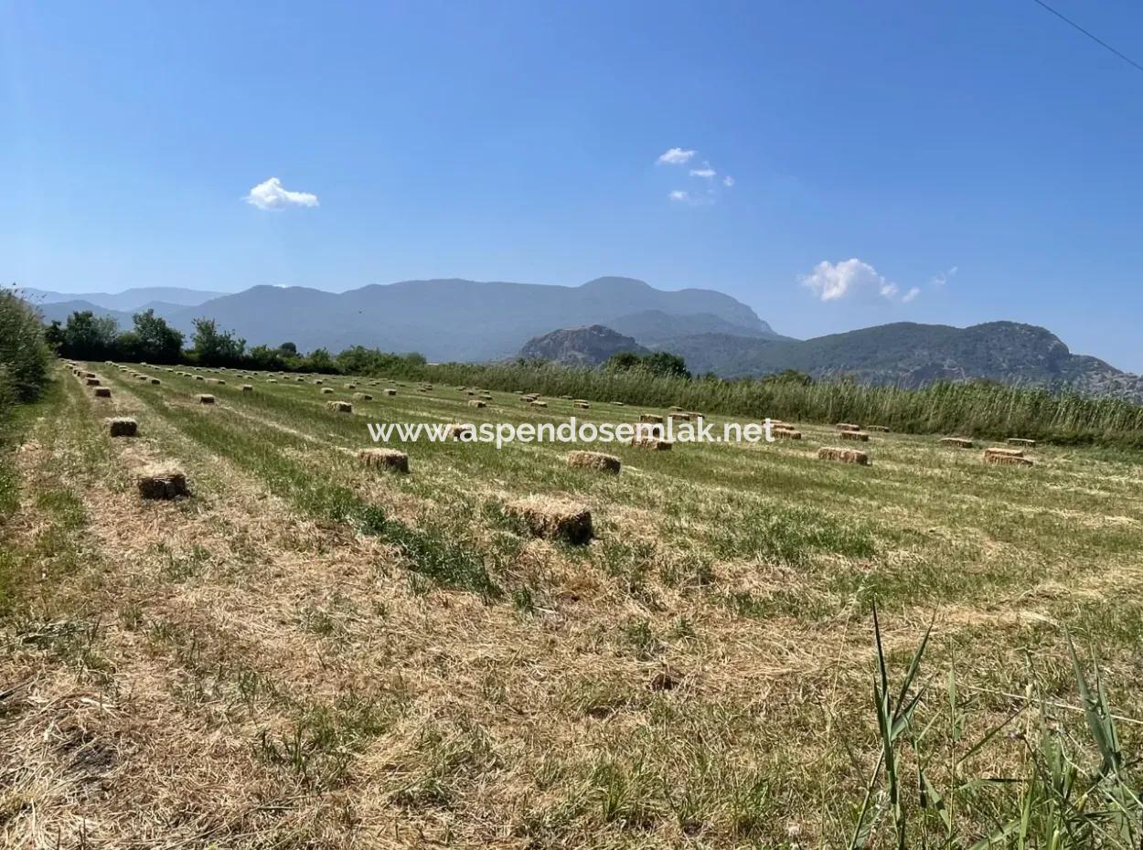 6,500M2 Field For Sale On The Iztuzu Road In Dalyan