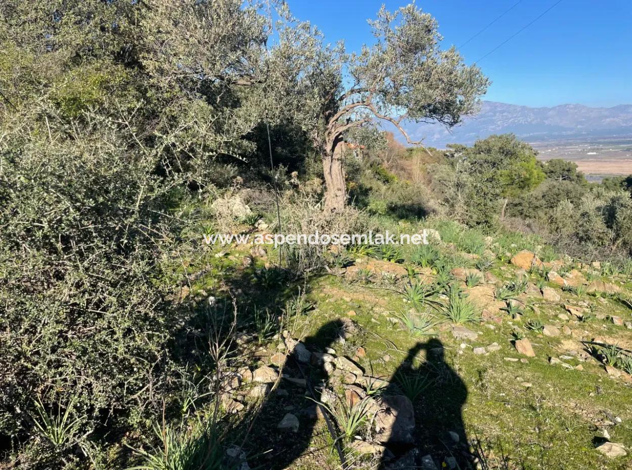 2B Land For Sale With Sea View In Çandır