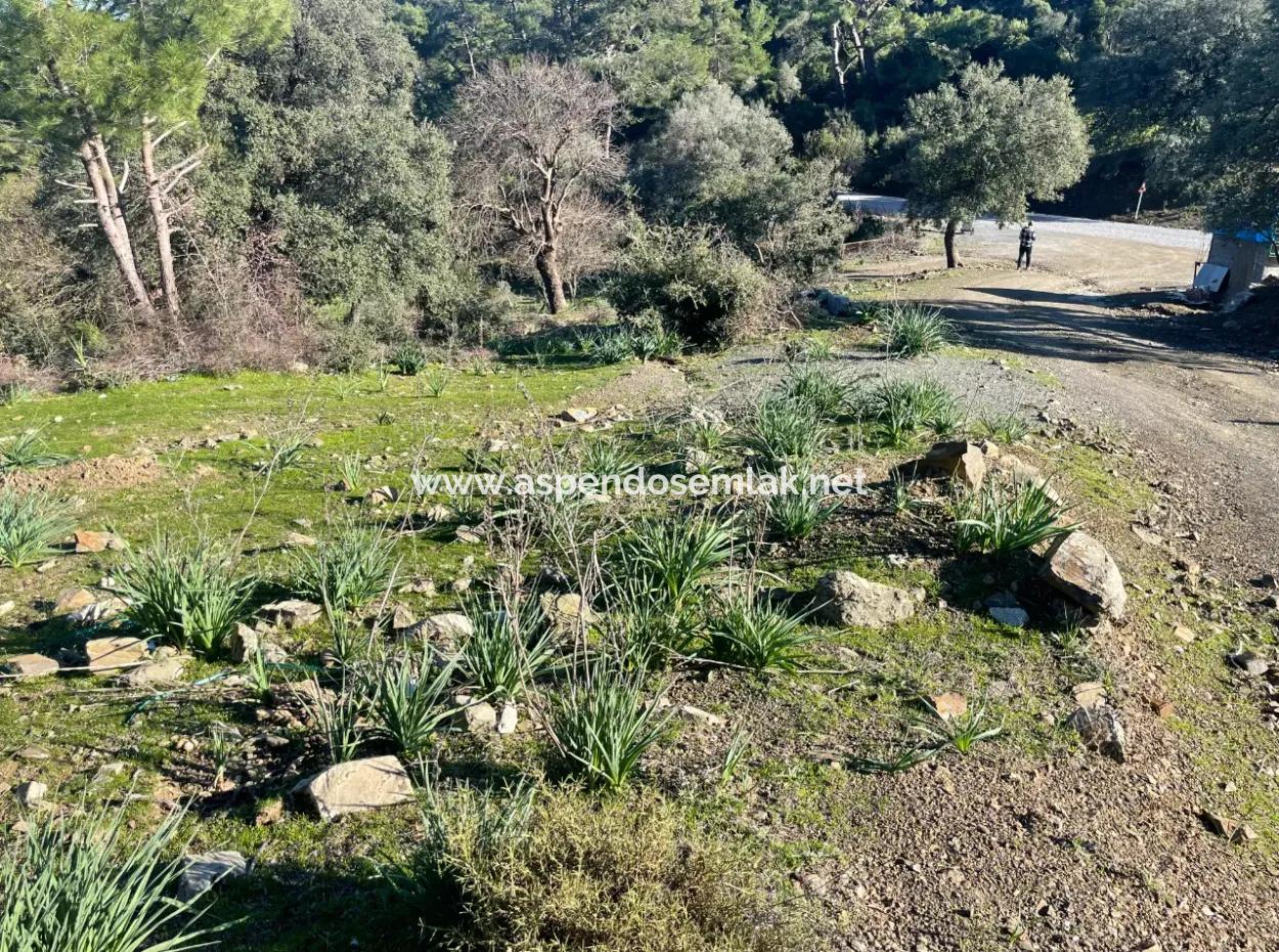 2B Land For Sale With Sea View In Çandır