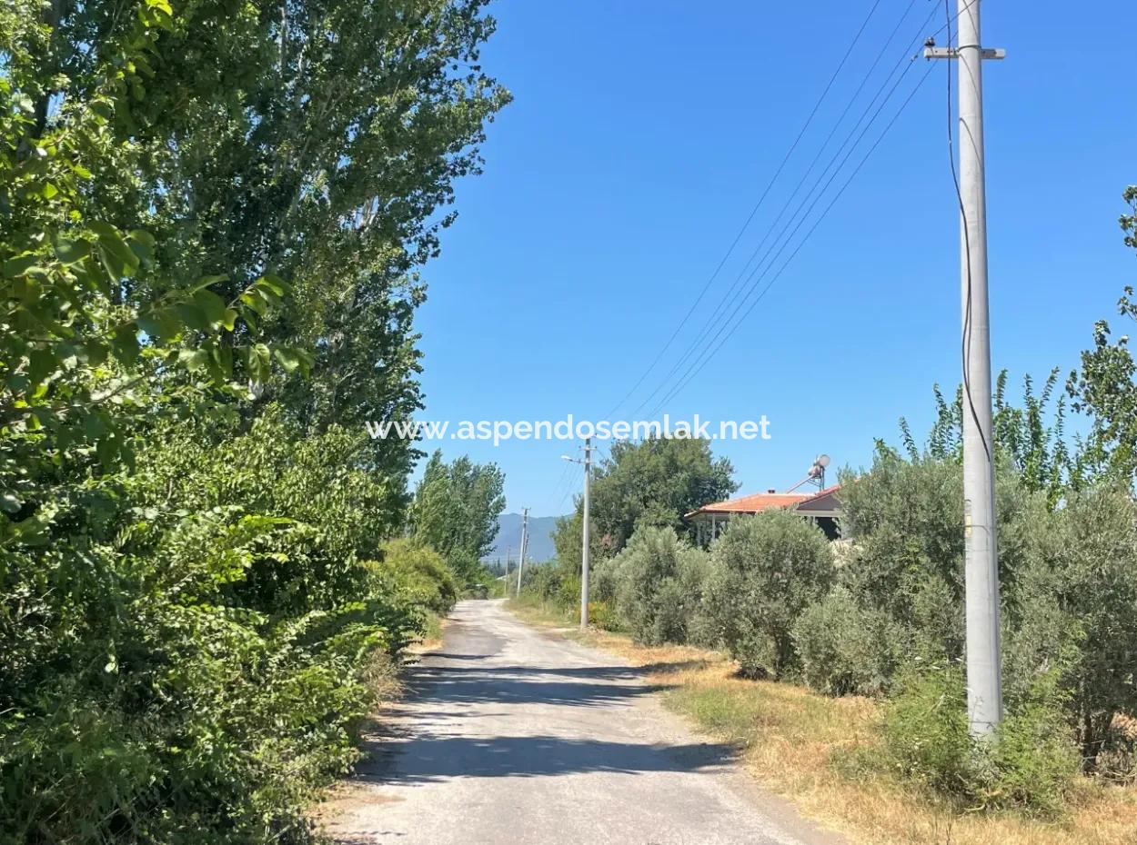Road-New 6820M2 Pomegranate And Lemon Orchard Is For Sale In Tepearası
