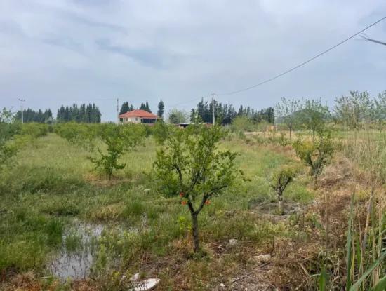 Field For Sale 6500M2 In Dalyan