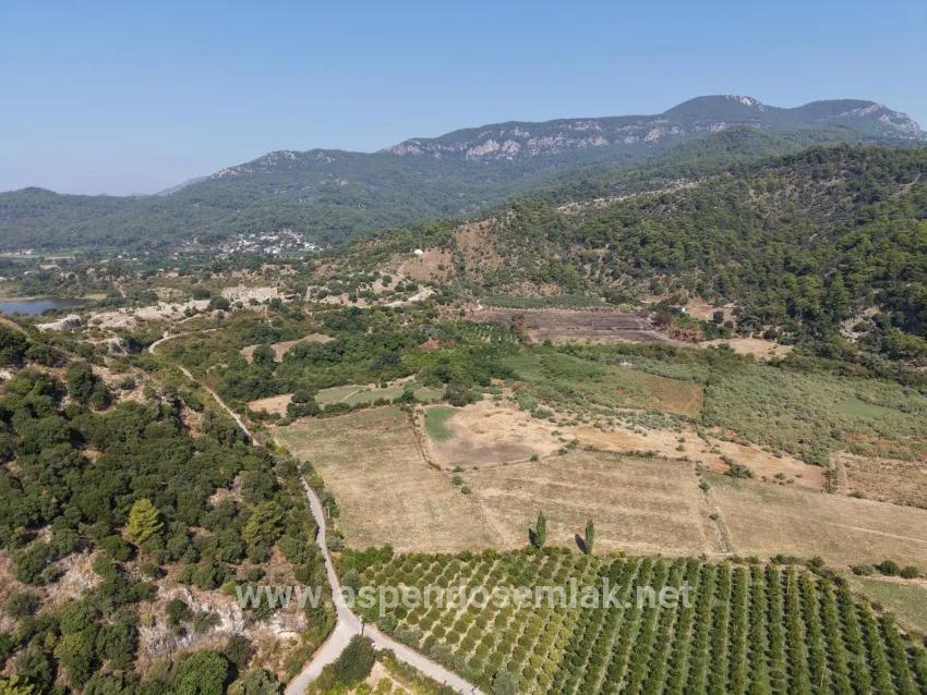 Село Köyceğiz в районе Çandır, у канала, 20.000м2 продажа поля