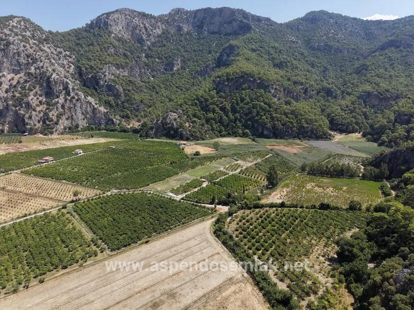 Для продажи Поле в Dalyan Ortaca - Под Поле застройку - 20.786 m²