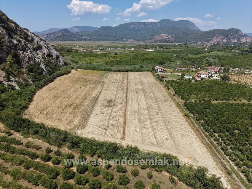 Для продажи Поле в Dalyan Ortaca - Под Поле застройку - 20.786 m²