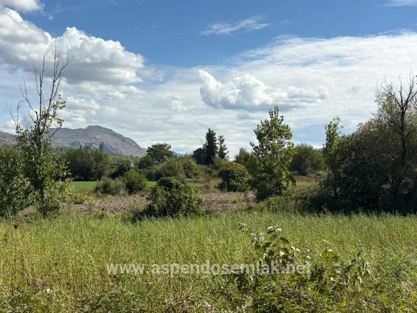 Для продажи Поле в Zeytinalanı Köyceğiz - Под Поле застройку - 10.500 m²
