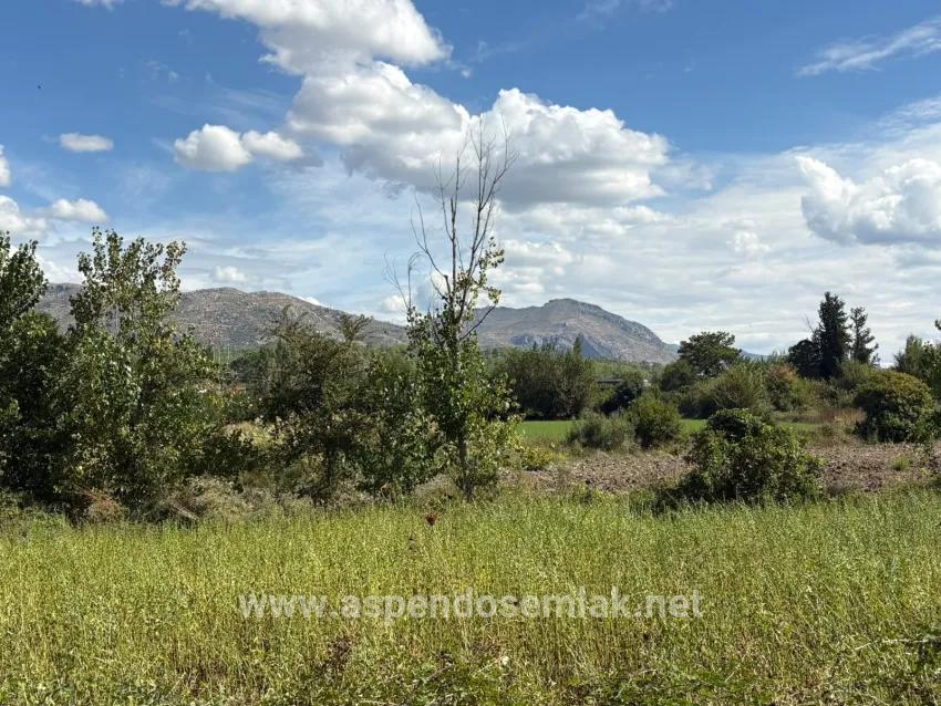 Для продажи Поле в Zeytinalanı Köyceğiz - Под Поле застройку - 10.500 m²