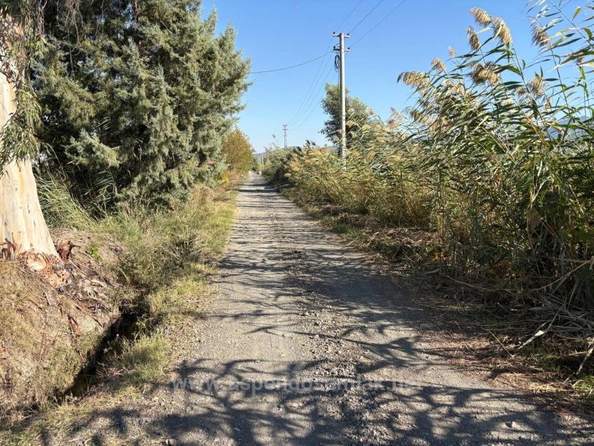 Гранатовый Сад Площадью 21500 М2 На Продажу В Эскикёе