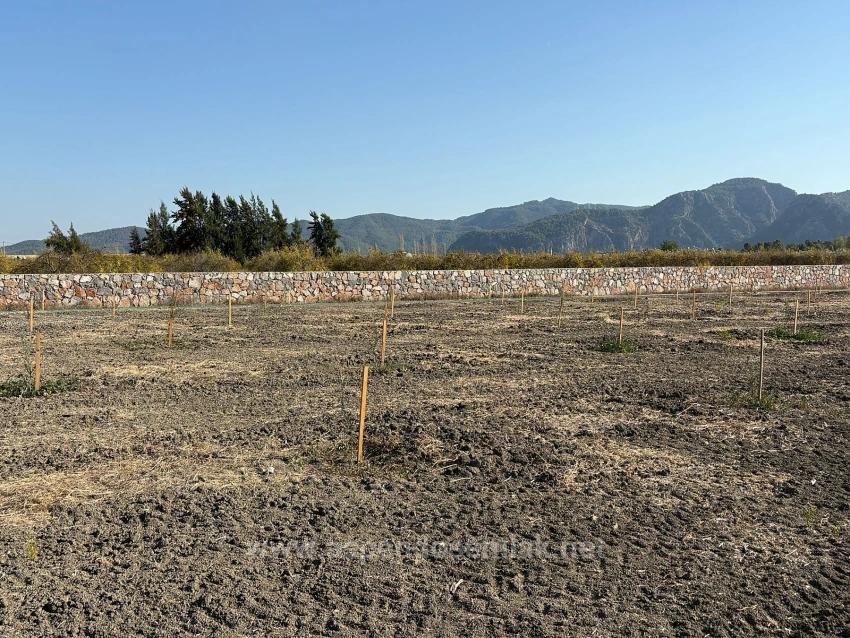 Земельный Участок И Дом Площадью 19 663 М² В Эскикёе.