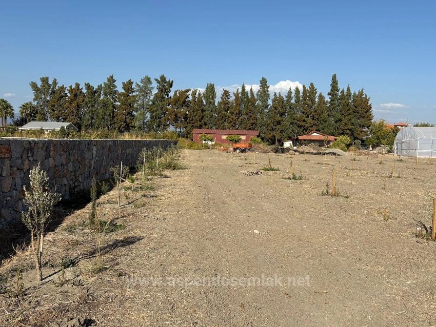 Земельный Участок И Дом Площадью 19 663 М² В Эскикёе.