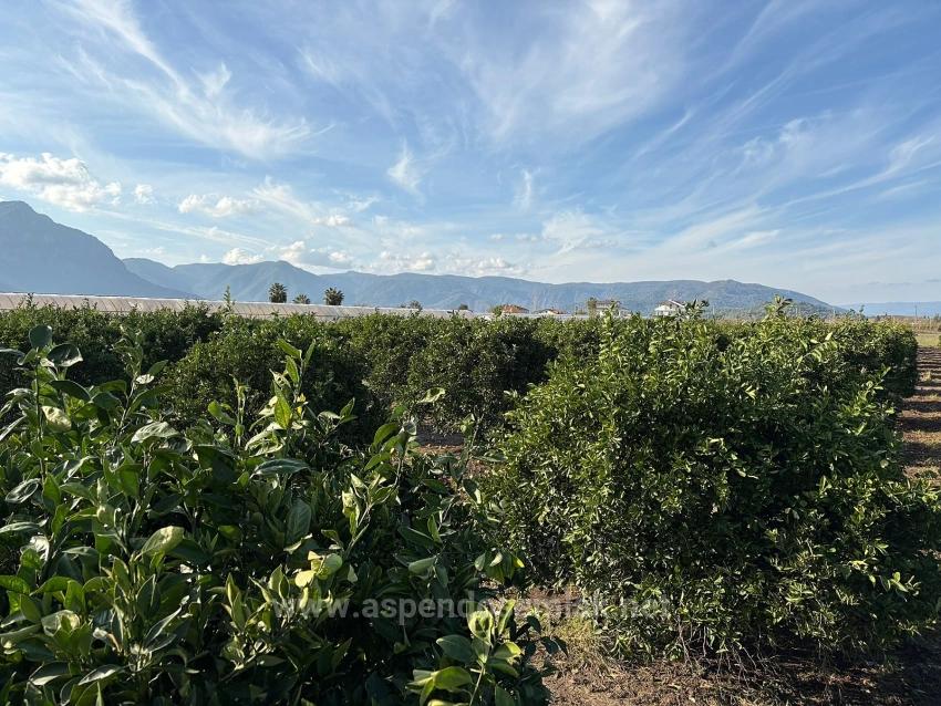 Вилла 4+1 На Продажу В Эскикёе, Расположенная На Участке Площадью 14 136 М2