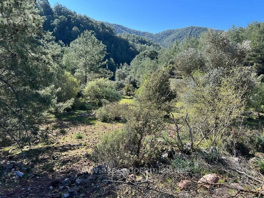 Продается Земельный Участок В Гёкбеле, В Окружении Природы И Леса.