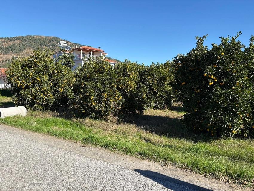 Продается Земельный Участок В Экшилиюрте, С Разрешением На Застройку, Площадью 1085 М2.