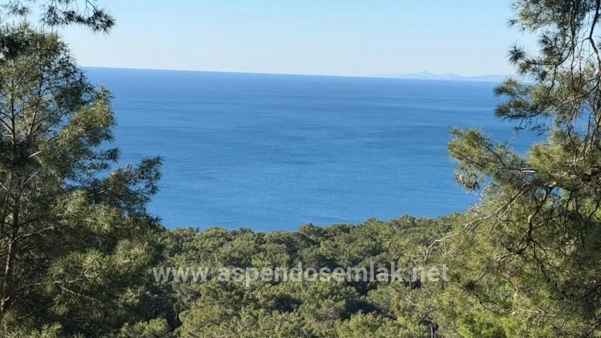 Для продажи Поле в Çandır Köyceğiz - Под Жилье застройку - 5.715 m²