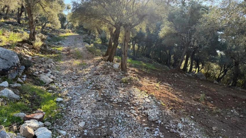 Поле 2B Площадью 5715 М2 С Панорамным Видом На Море В Чандыре