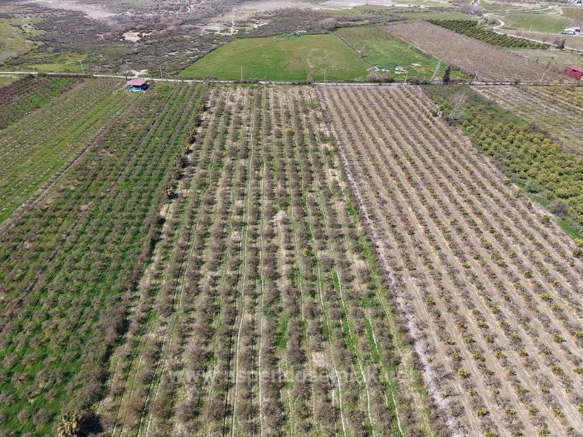 Гранатовый Сад Площадью 16.710 М2 На Продажу С Видом На Озеро В Эскикёй