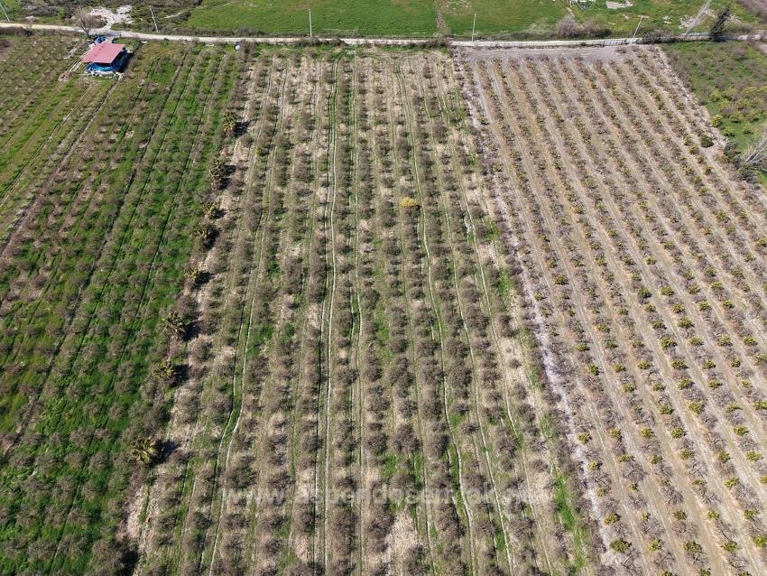 Гранатовый Сад Площадью 16.710 М2 На Продажу С Видом На Озеро В Эскикёй