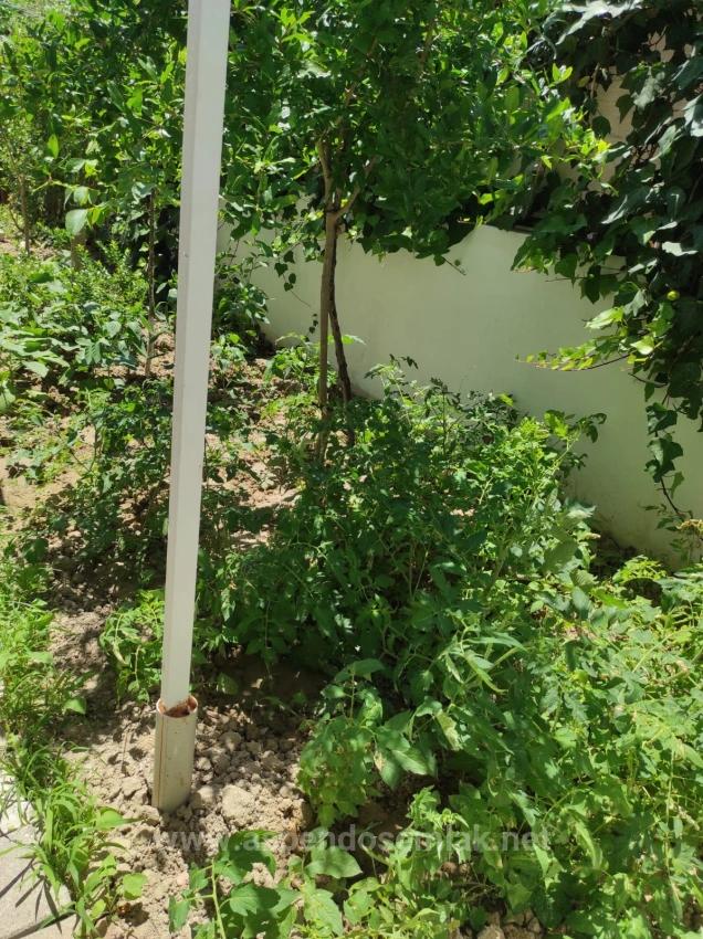 Вилла 4+1 На Продажу На Угловом Участке Площадью 545 М2 В Дальян Гюльпынар