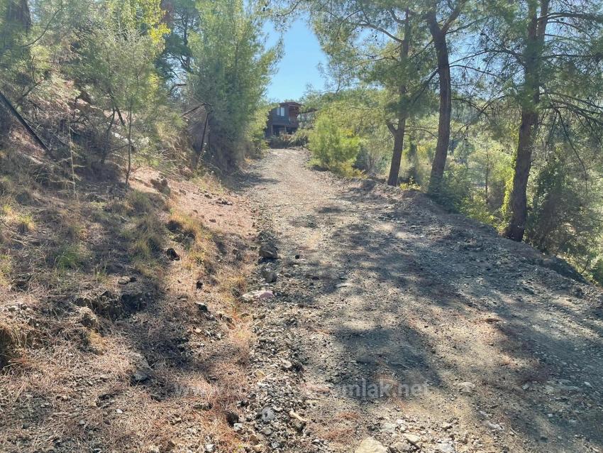 Земля 3514M2 На Продажу С Панорамным Видом На Море В Гёкбеле