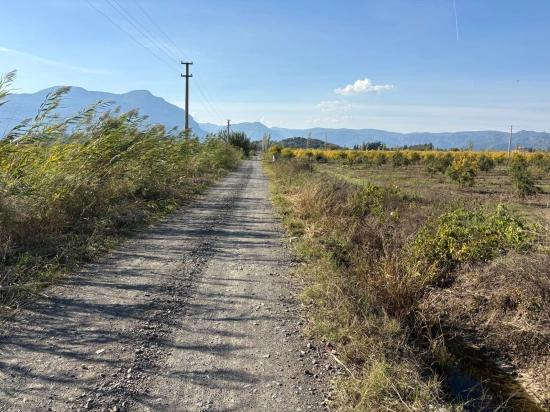 Гранатовый Сад Площадью 21500 М2 На Продажу В Эскикёе