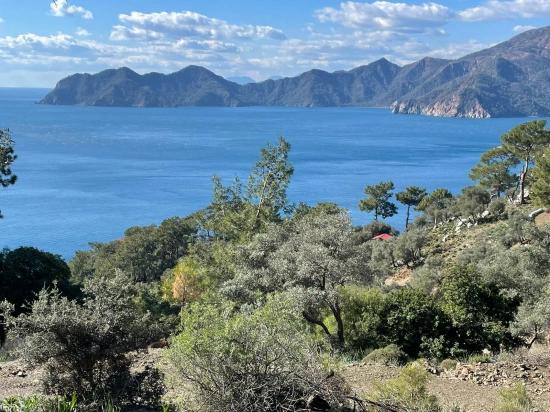 Чандыр 20.000m2 2b С Полным Видом На Море На Продажу