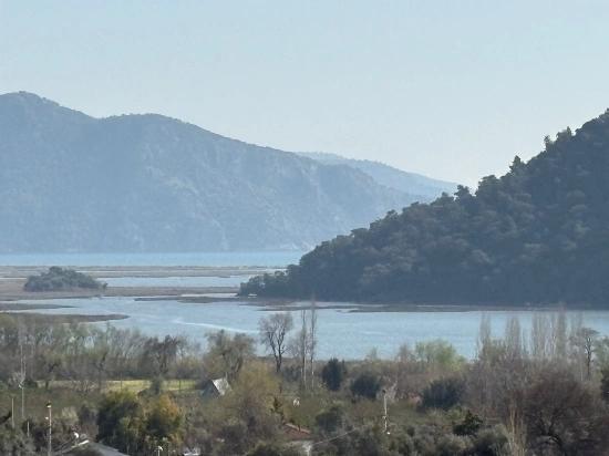 Продается Земельный Участок Площадью 2023 М² В Деревне Чандыр, Кёйджегиз, С Долевой Собственностью И Добровольным Разделом.