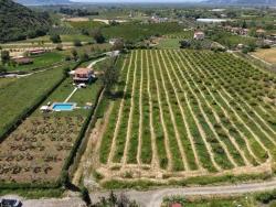 Для Продажи Поле в Dalyan Ortaca - Под Поле застройку - 5.100 m²