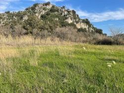 Для Продажи Сюжет в Dalyan Ortaca - Под Жилье застройку - 6.800 m²