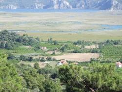 Для Продажи Поле в Çandır Köyceğiz - Под Поле застройку - 19.334 m²
