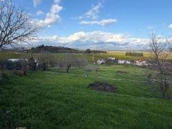 Для Продажи Поле в Dalyan Ortaca - Под Поле застройку - 11.230 m²