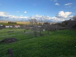 Для Продажи Поле в Dalyan Ortaca - Под Поле застройку - 11.230 m²