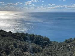 Для Продажи Поле в Çandır Köyceğiz - Под Поле застройку - 20.000 m²