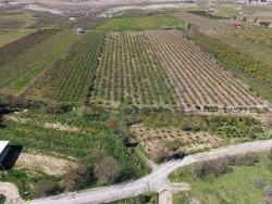 Гранатовый Сад Площадью 16.710 М2 На Продажу С Видом На Озеро В Эскикёй