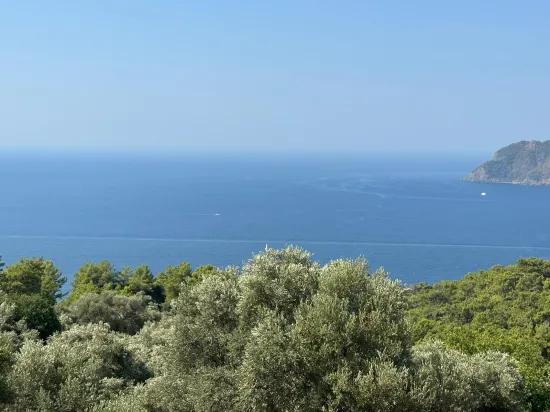 В Çandır С Видом На Море 21.000 M2 Продаётся 2b Поле