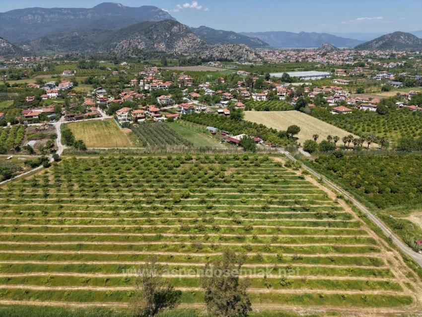 Dalyan Merkeze Yakın 5100M2 Satılık Tarla