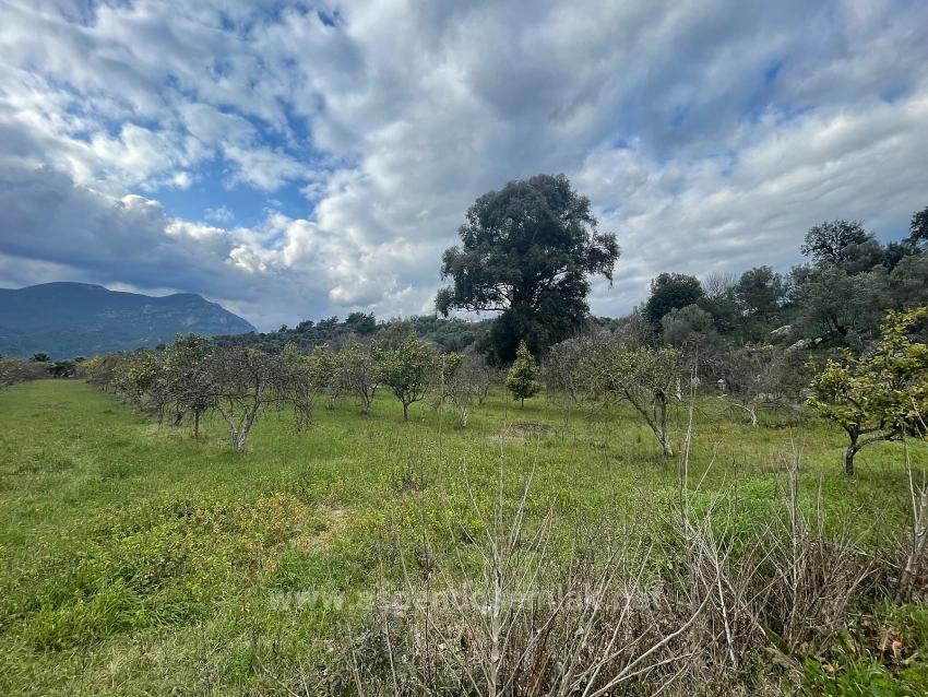 Dalyan'da 11.000M2 Arsa İçerisinde Satılık Butil Otel Ve Bungalov