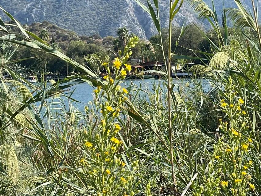 Çandır'da Kanala Sıfır 2765M2 Satılık Müstakil Ev