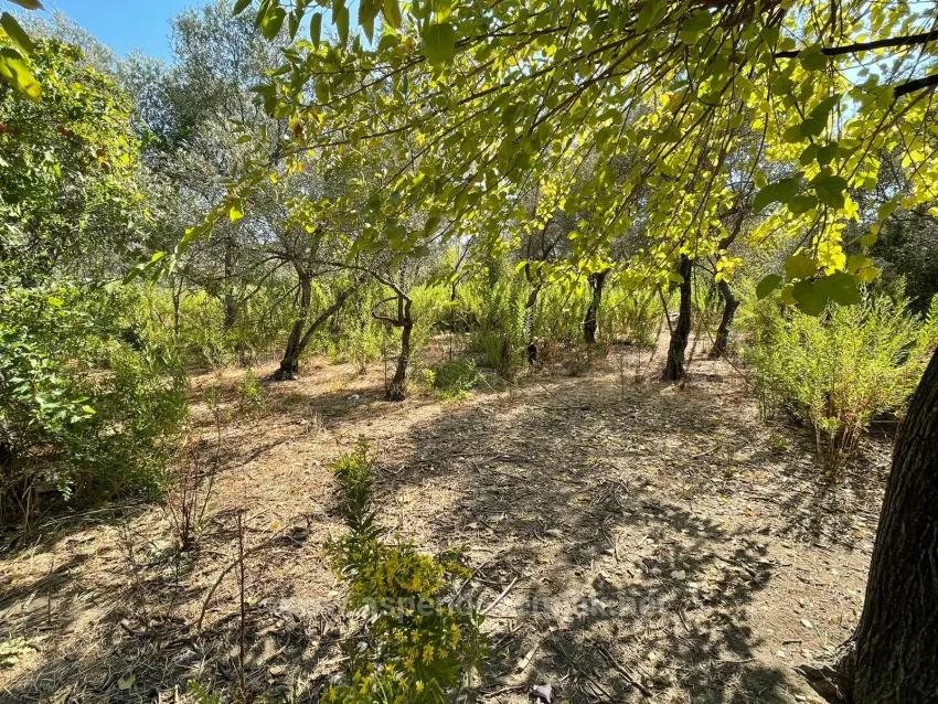 Çandır'da Kanala Sıfır 2765M2 Satılık Müstakil Ev