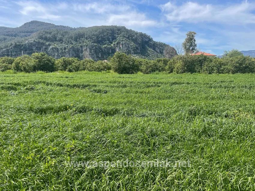 Ortaca Okçular Mah. Satılık Arsa - Konut İmar Durumlu - 736 m²