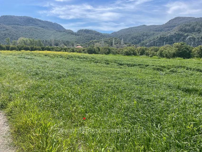 Okçular'da 736M2 Olan 250M2 İnşaat İzinli Satılık Arsa