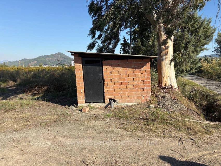 Eskiköy'de 21500M2 Satılık Nar Bahçesi