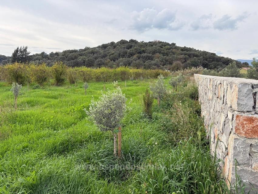 Eskiköy'de 19.663M2 Çiftlik Arazisi Ve Ev