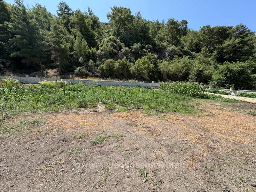 Dalyan Karadağ Mevkiinde 2500M2 Tarla İçerisinde 120M2 Müstakil Ahşap Ev