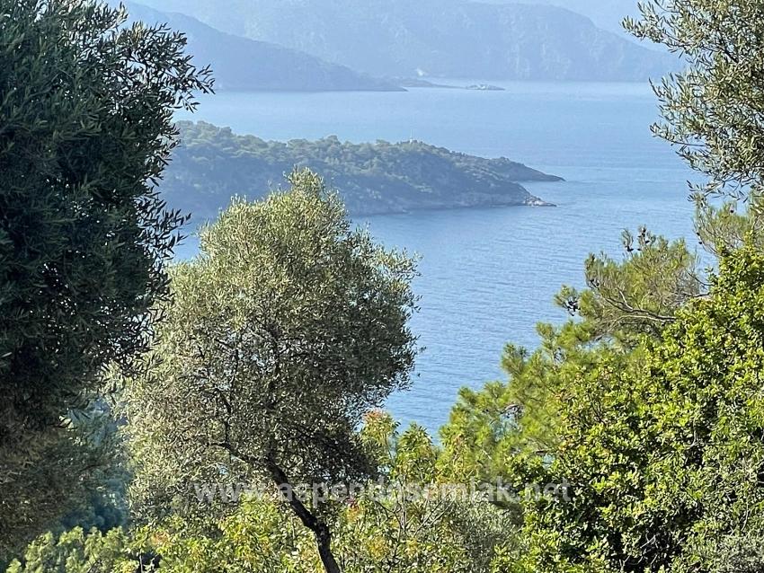 Köyceğiz Çandır Mah. Satılık Tarla - Konut İmar Durumlu - 10.481 m²