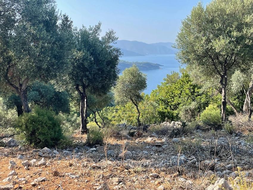 Ekincik Çandır Arasın'da Deniz Manzaralı Kelepir Emlak Satılık Arsa