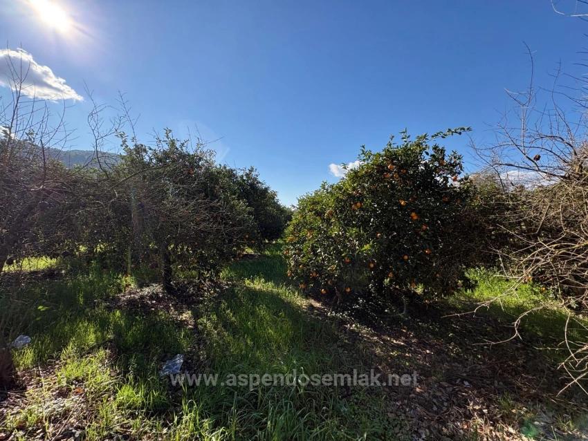 Okçular'da Yerleşik Alanında 4,326M2 Satılık Arsa