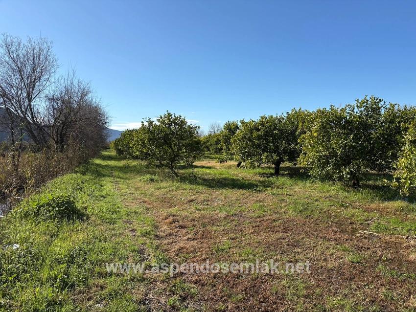 Ortaca Dalyan Mah. Satılık Tarla - Tarla İmar Durumlu - 16.500 m²
