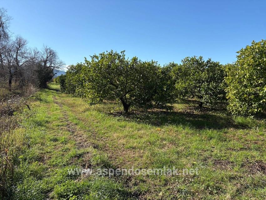 Ortaca Dalyan Mah. Satılık Tarla - Tarla İmar Durumlu - 16.500 m²