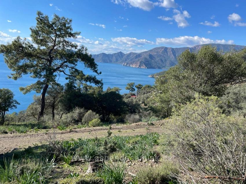 Çandır Full Deniz Manzaralı 20.000M2 Satılık 2B