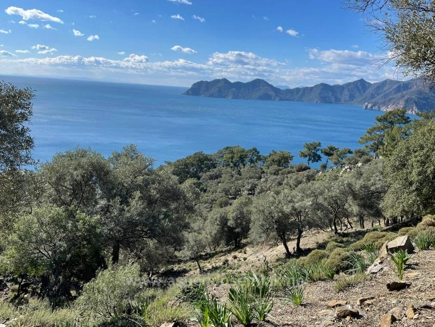 Çandır Full Deniz Manzaralı 20.000M2 Satılık 2B